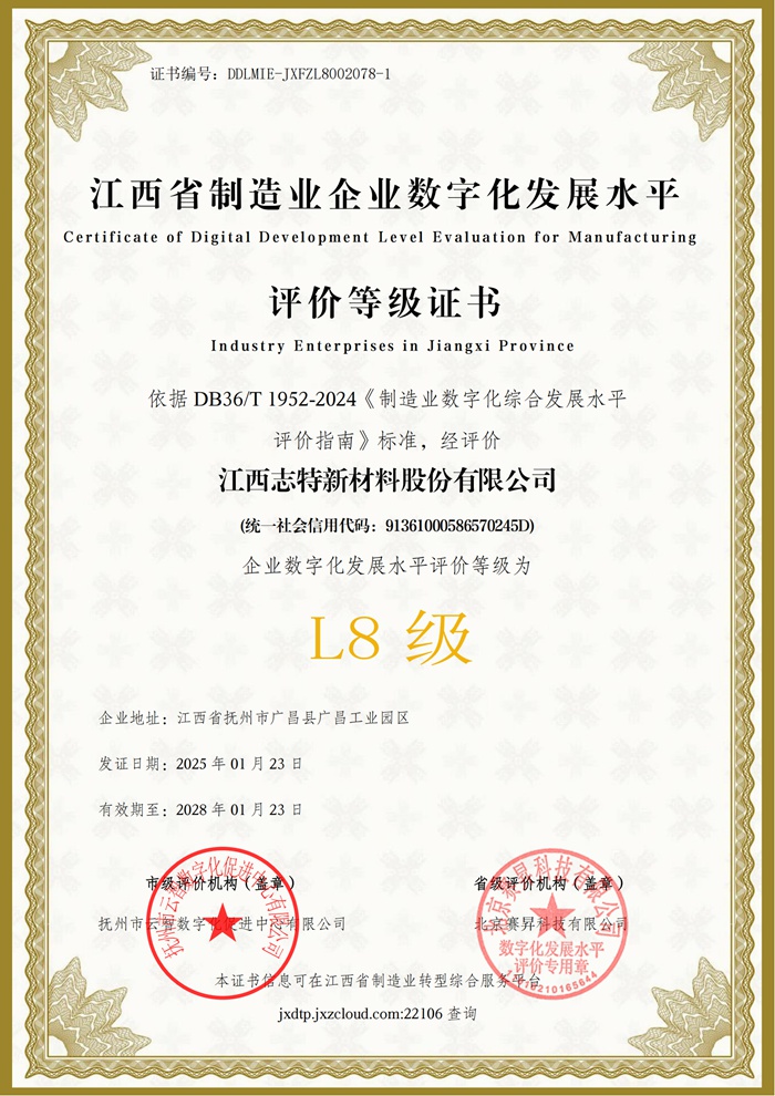 Digital Transformation L8 Standard Certification