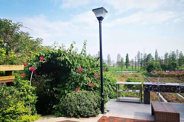 Solar Garden Lights - A Luminous Ode to Sustainable Living